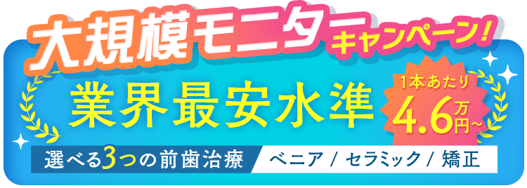 大規模モニターキャンペーン