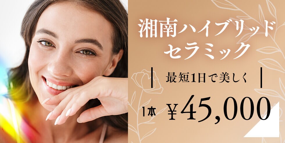 湘南ハイブリッドセラミック モニター