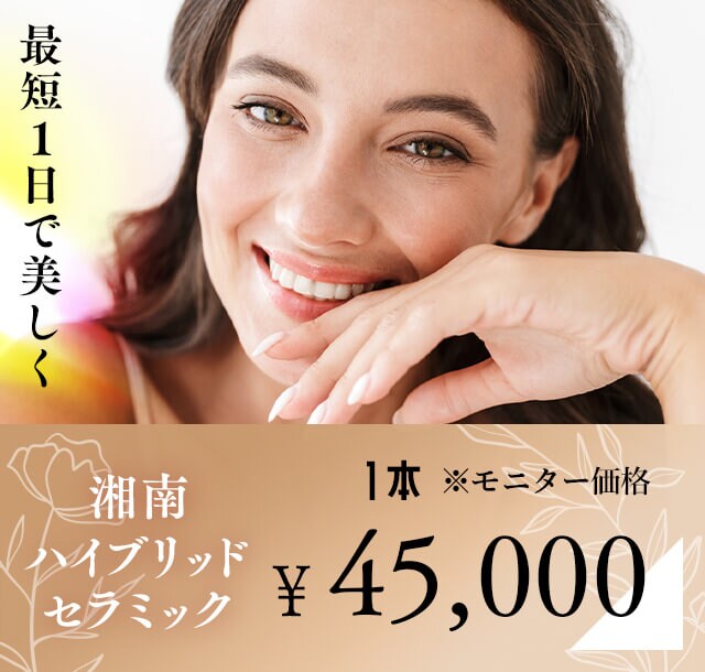 湘南ハイブリッドセラミック モニター