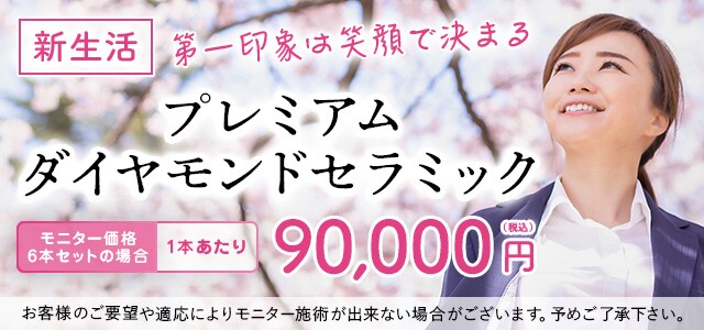 新生活セラミックモニター