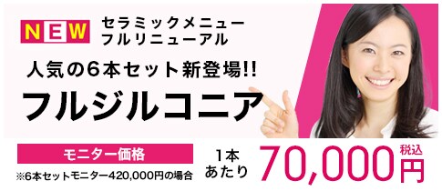 フルジルコニア