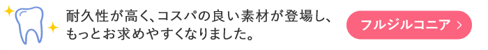フルジルコニア