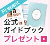 公式ガイドブックプレゼント
