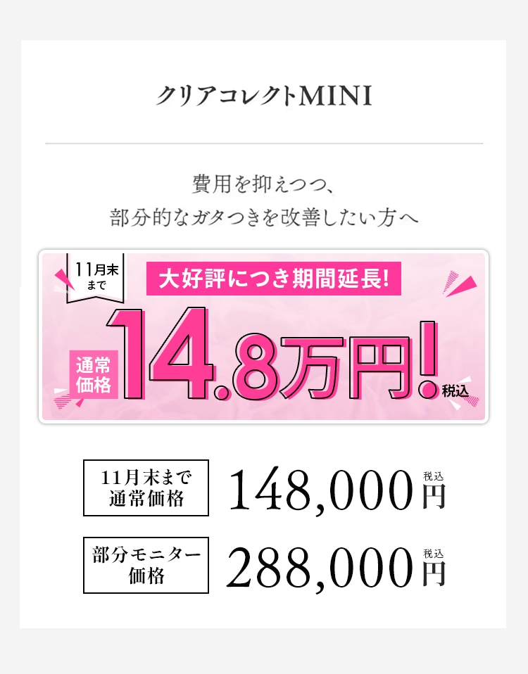 クリアコレクトMINI料金