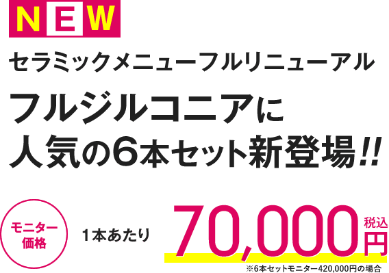 フルジルコニアセラミック