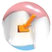 1.5/ECPリリース