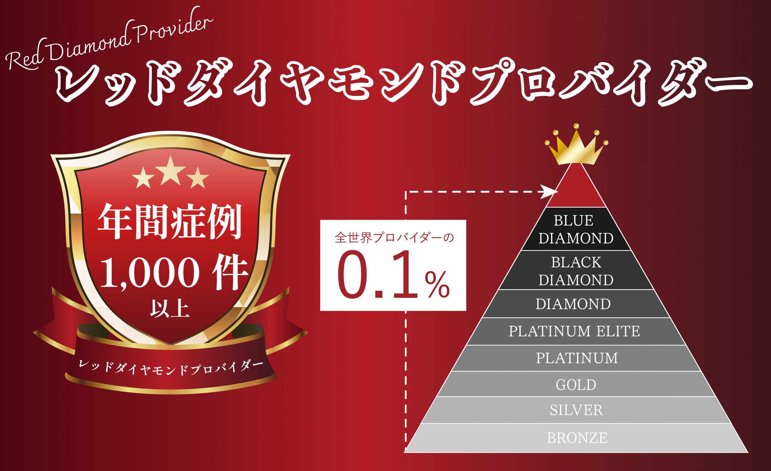 レッドダイヤモンドプロバイダー受賞！