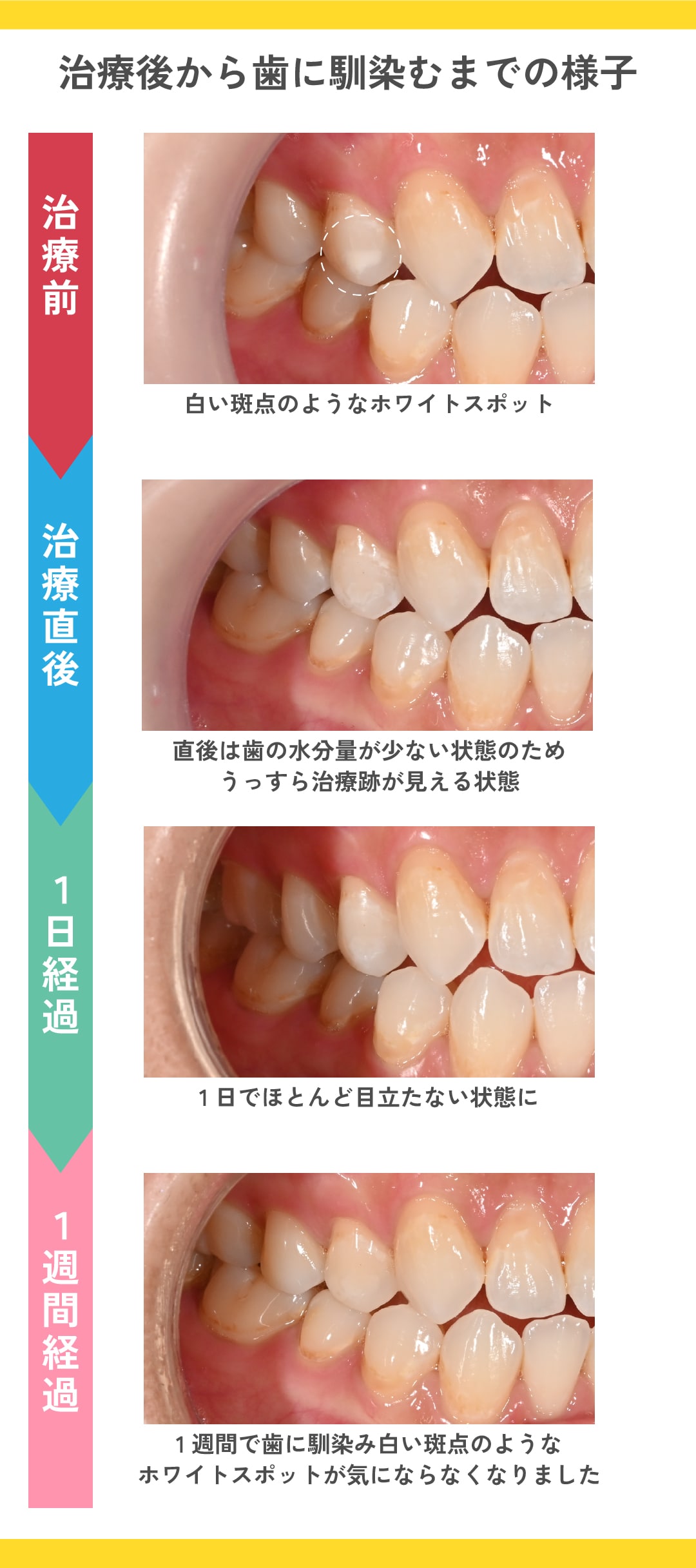 活動歴および当時の関連ビジュアル記録