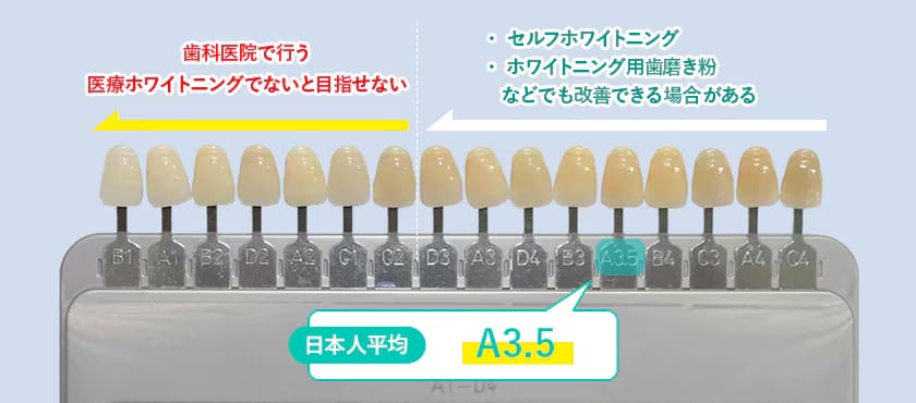 どこまで白くできる?トーンアップの目安